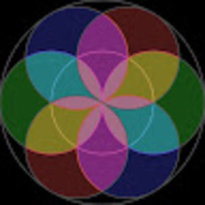 Meet your Posher, Francisco